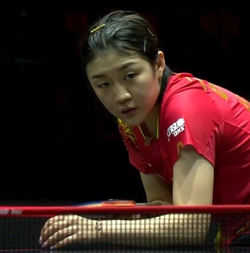 塔图姆的季 塔图姆的季