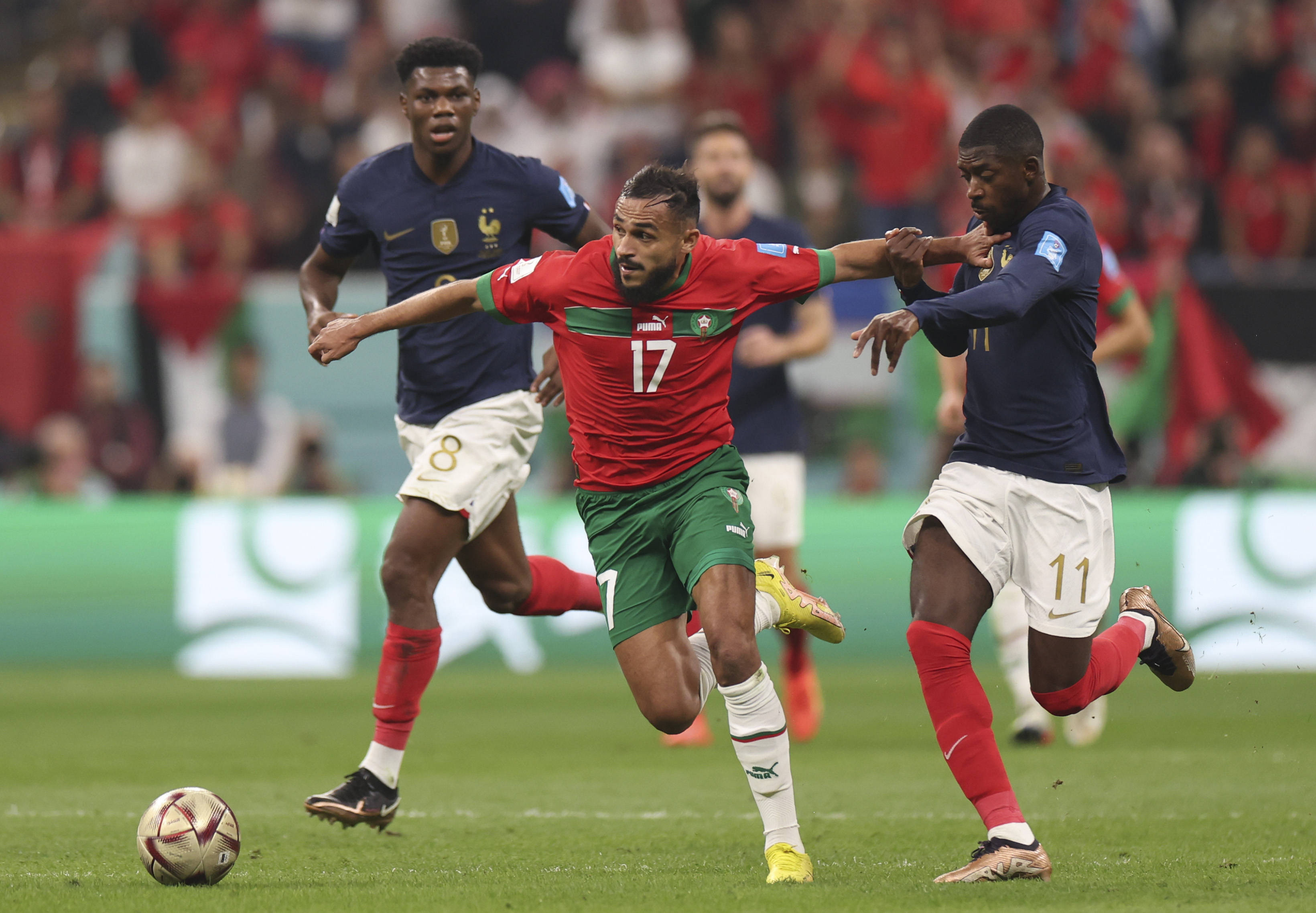 塔利亚菲科 塔利亚菲科