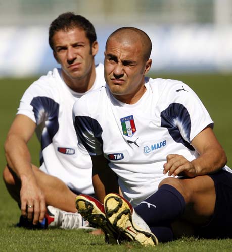 看到了他成 看到了他成