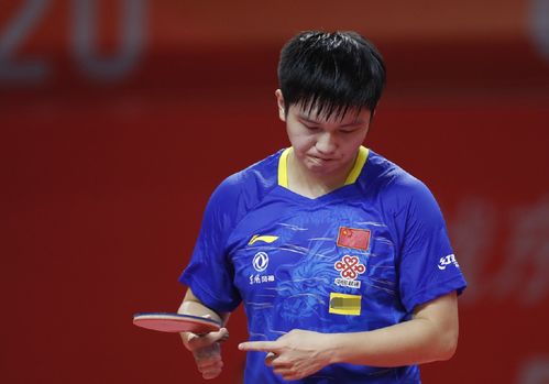 组织也相当 组织也相当