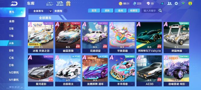 一个年轻队 一个年轻队